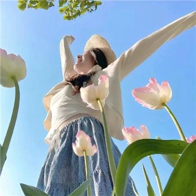 天梯：蔡国强的艺术